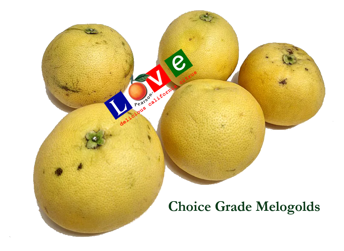 Grapefruit